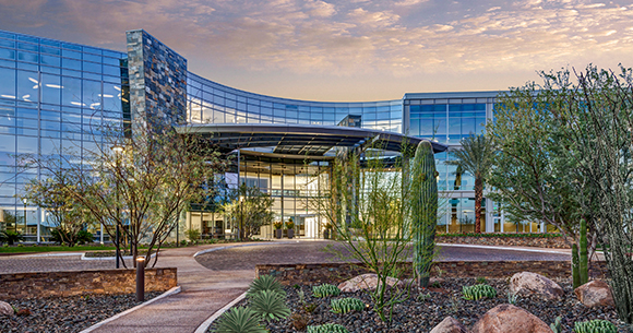 exterior of glass office building with cacti in foreground